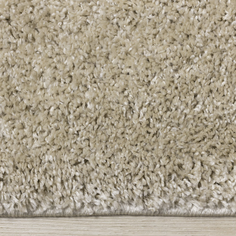 Tapis à poils longs Marakai, Rectangle 3 pi 11 po x 5 pi 11 po