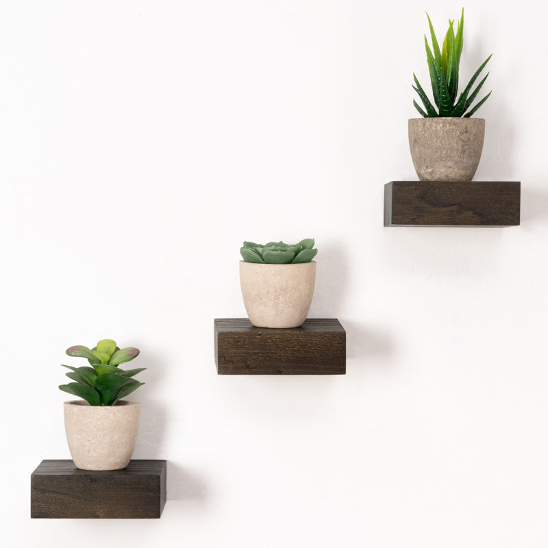 Sylven 3 Piece Rustic Reclaimed Elm Wood Floating Wall Shelves, Walnut, 1.38" H x 4" W x 4" D