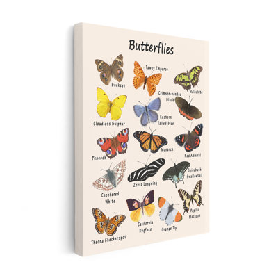 Butterflies No2