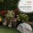 20"H Frog with Flower Garden Statue