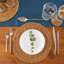 Argon Tableware - Woven Typha Placemats & Coasters Set
