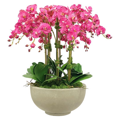 Orchids In Bowl