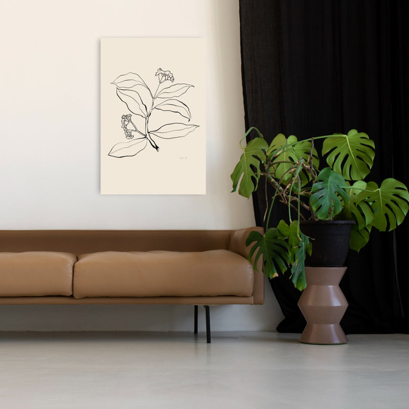 Botanical Line Drawing Abstract Delicate Elegant Nature Plant Wall Art Print by Catalina Somolinos - Wrapped Canvas Print
