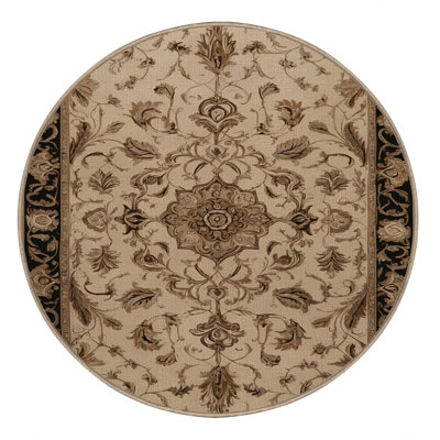 Machine Washable French Brown Area Rug