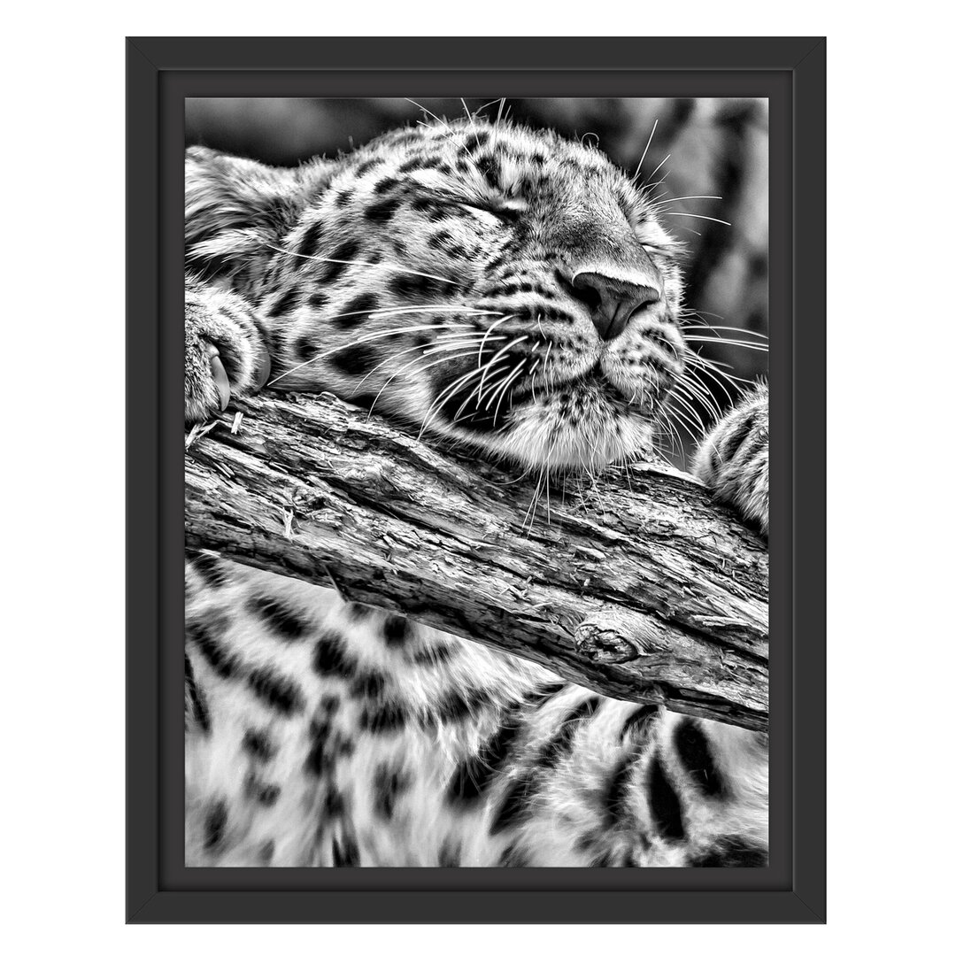 Gerahmtes Wandbild verspielter Leopard