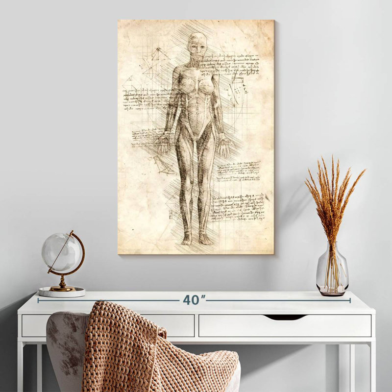Anatomie féminine Keiri, H 30 po x l 20 po