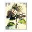 Rose Hydrangena IV - Horloge murale florale-803745361