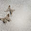 Rainfall 24x48 Porcelain Wall and Floor Tile