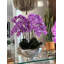 Orchid Floral Arrangement in Planter-219825536