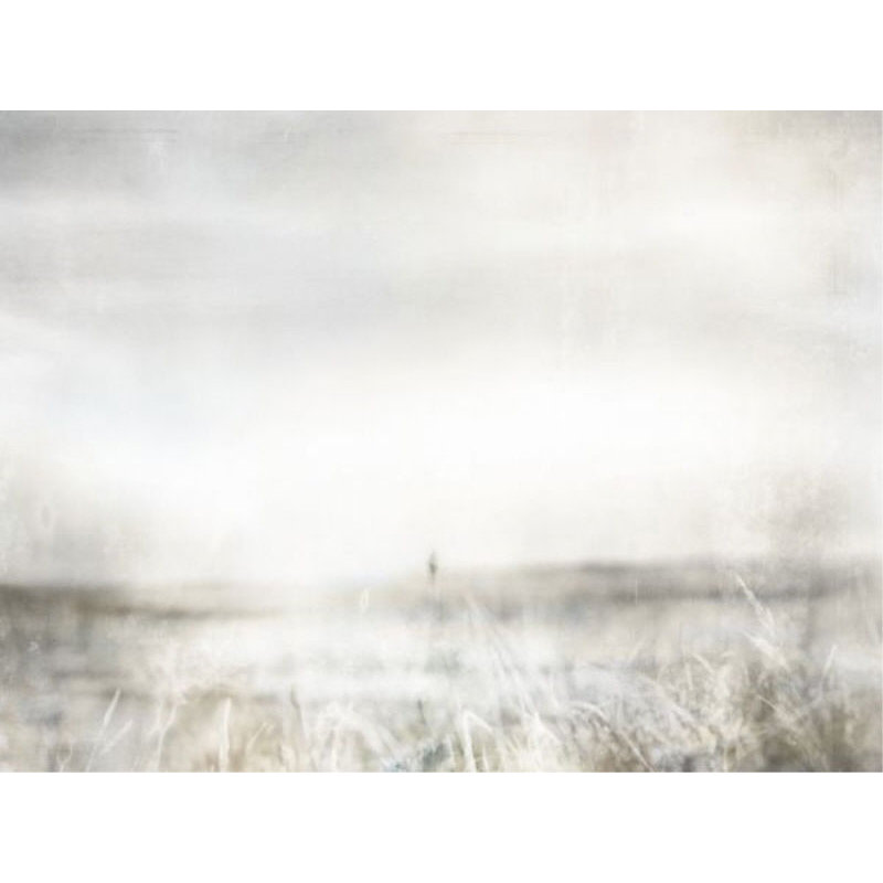 Warm Meadow I Print by Elena Carlie, 24" H x 32" W x 1.5" D, Knife Gel