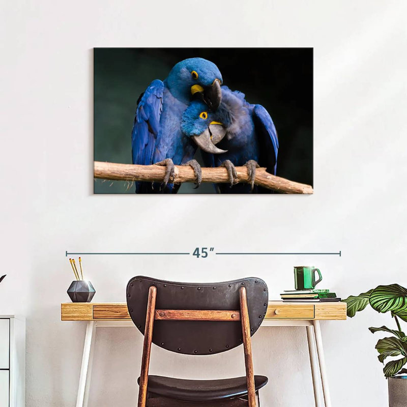 Hyacinth Blue Macaws, 24" H x 36" W