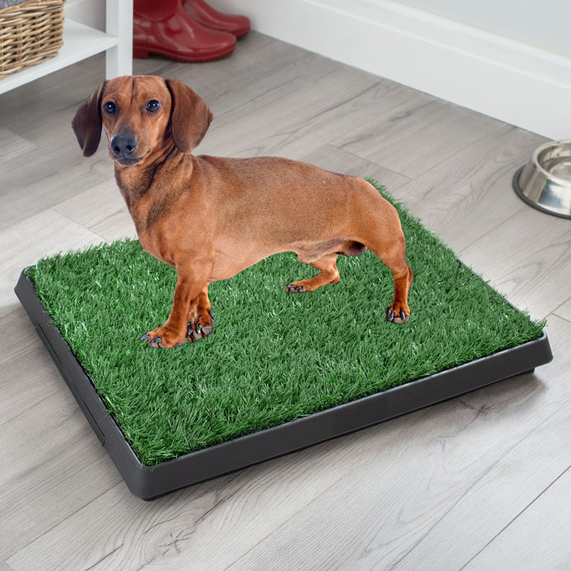 Elroy Polyester Pet Bed