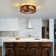 Phokas 20" Ceiling Fan With Lights And Remote Control