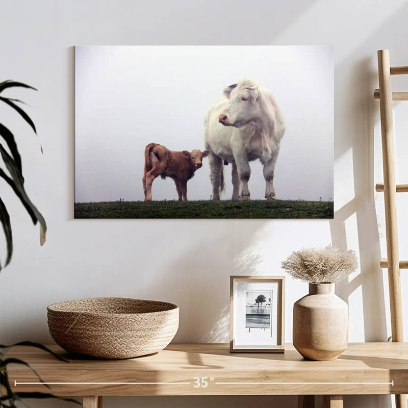 Brampt Mother And Baby Cow