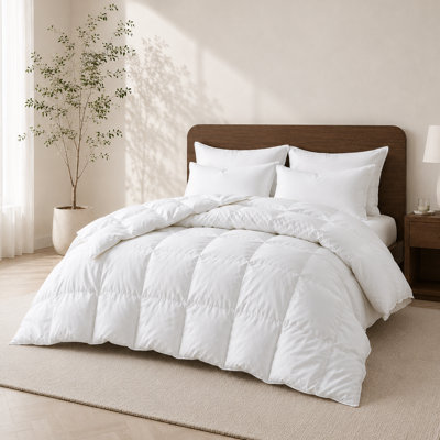 Soft All Season Down Feather Fiber Comforter with Corner Tabs
