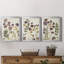 Pressed Flower Arrangement IV - Ensemble de 3 peintures sur toile encadrées-666306610-666306573