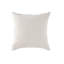 Eve Silk Square Pillow Cover & Insert