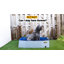 Baignoire de toilettage portable carrée-35510850-35510852