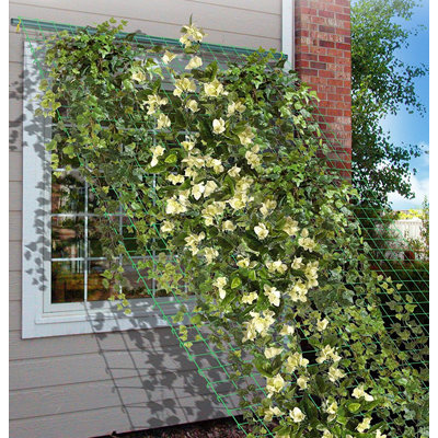 Trahan Wood Plant Support
