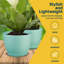 Pots à fleurs avec trous de drainage - Pots légers, durables et peu encombrants pour l'intérieur et l'extérieur - Fonctionnalité polyvalente, conception moderne simple, ensemble de 15 pots à fleurs en plastique-317048029