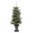Easy Set-Up Lighted Spruce Christmas Tree