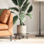 Aurbree Table Leg-2005394619-2005394610