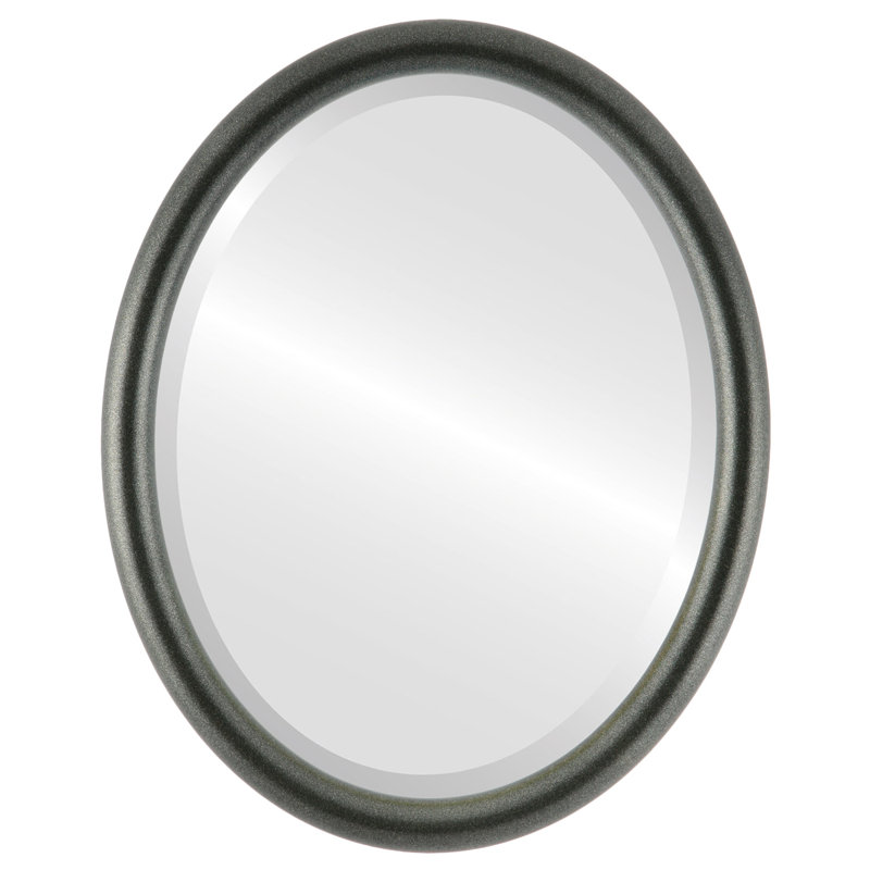 Rowles Oval Mirror, Black Silver, 25.375" x 19.375"