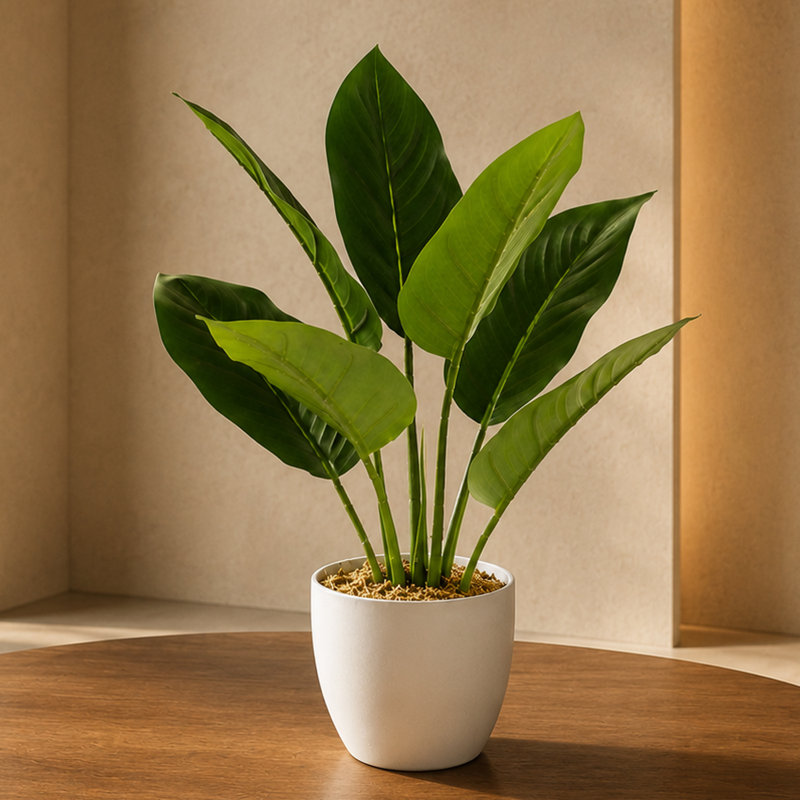 Artificial Potted Foliage Plants 45 cm H Faux Ficus Plant in Plastic Pot Liner