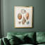 Knorr Shells & Coral I, toile encadrée de qualité supérieure - prête à être accrochée-484985649-484985660
