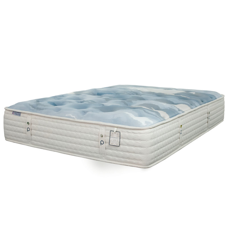Paramount Sleep Isadore Plush, Twin