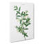 Green Olive Tree - Wrapped Canvas Painting-995651220
