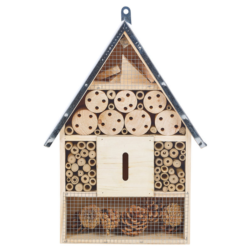 Amatrudo Mounted Insect House