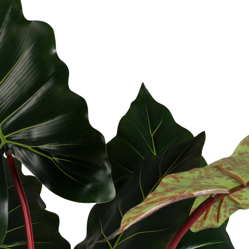 180cm Plant