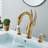 Widespread 2-handle Bathroom Faucet