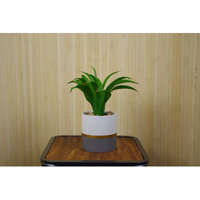 28cm Faux Aloe Plant in Ceramic Pot