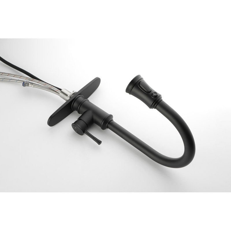 Robinet de cuisine avec douchette extractible