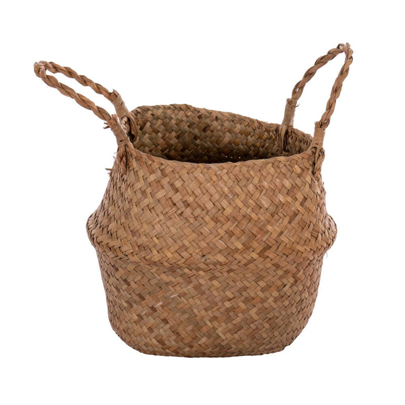 Primrue feuille de violon verte 27 po dans un panier tissé