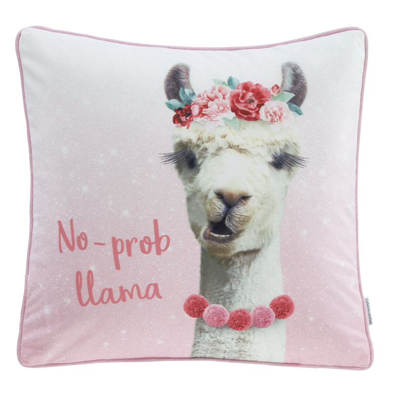 Filled Cushion Scatter Cushion with Filling