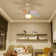 Ceiling Fan DC With LED Light Bluetooth Speaker Remote Control
