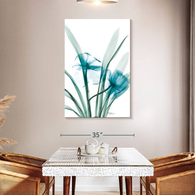 Harnek Aqua Dedroduim Orchid