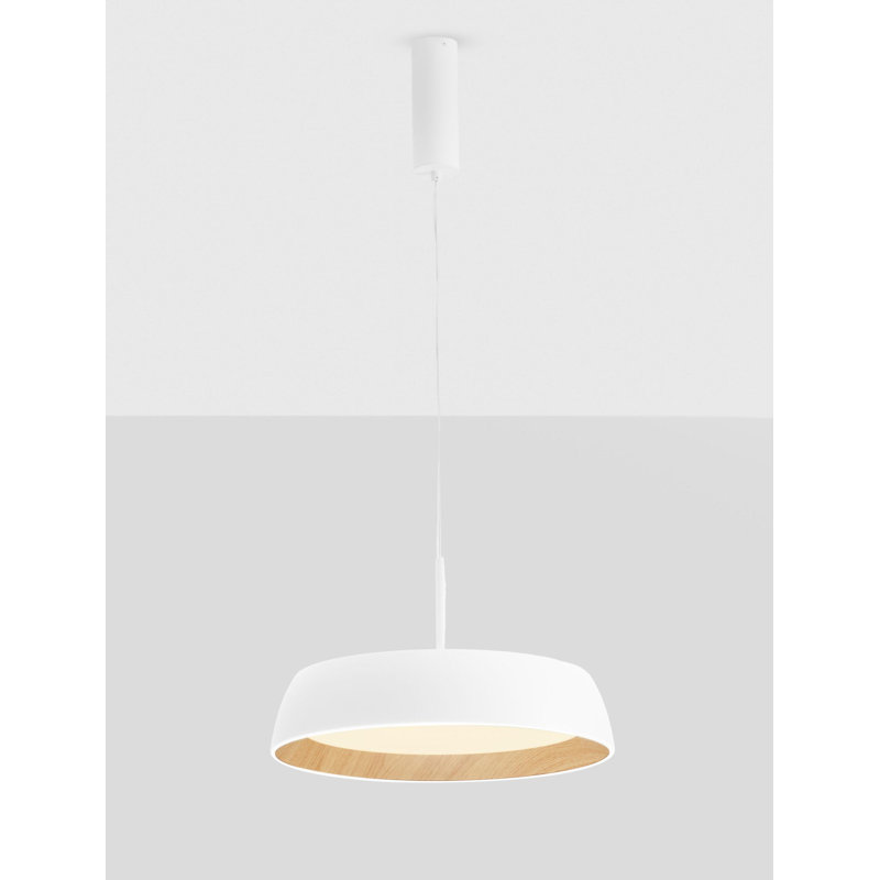 - Light Pendant
