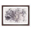 Lion in the Mist Watercolour - Picture Frame Graphic Art Print-56739041-56739044