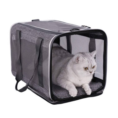 Soft Pet Carrier for Large and Medium Cats, 2 Kitties, Small Dogs. Easy to  Get C