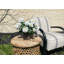 UV Protected Geranium Arrangement-1223956727-1223956726