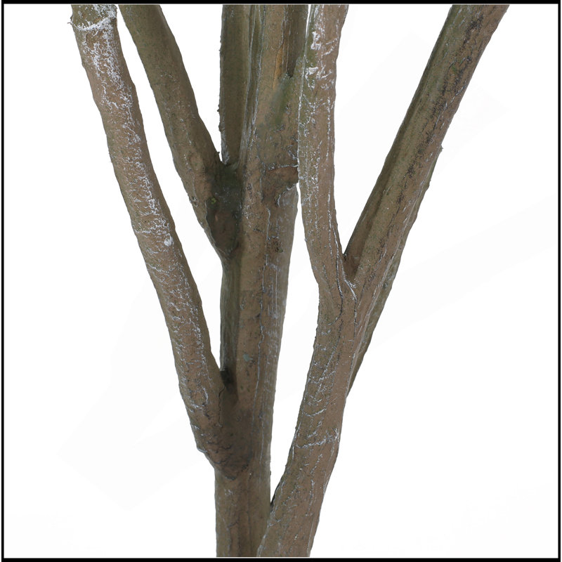180CM ARTIFICIAL MILAN LEAF BONSAI, 70.9" H x 39.3" W x26.7" D