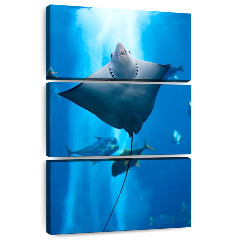 Brampt Manta Ray, 65" H x 42" W