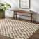Carmin Checkered Indoor Rug