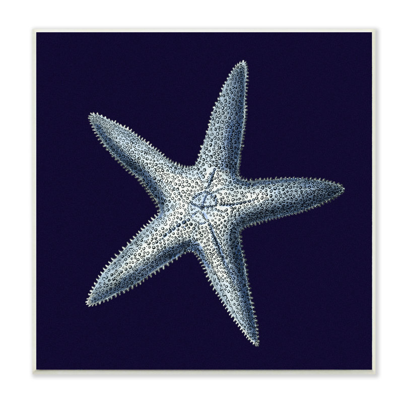 «Distress Navy and White», impression, H 12 po x l 12 po, Bois