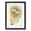 Magnolia Flowers Illustration Tab. 61 by Frederick Sander - Picture Frame Painting Print-55760411-55760415