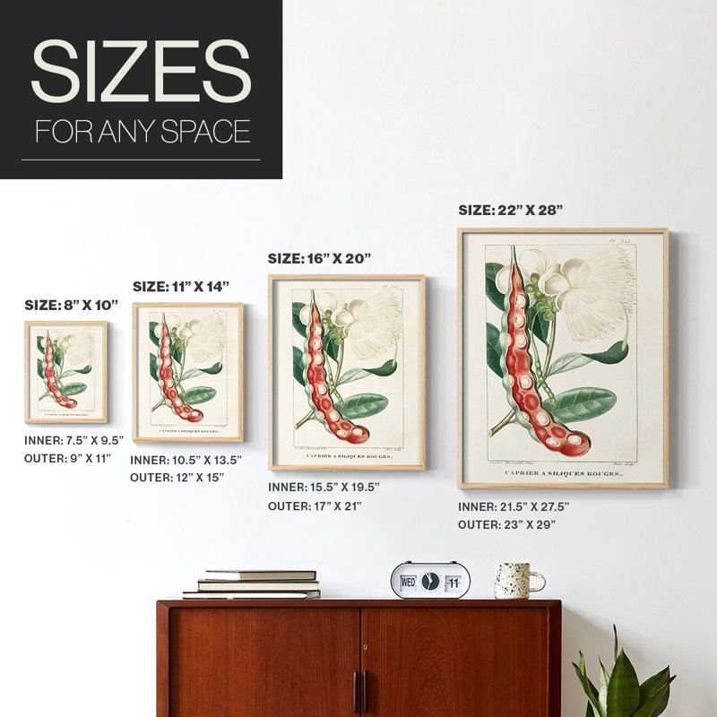 «Turpin Tropical Botanicals», reproduction encadrée en bois massif, H 30 po x l 24 po
